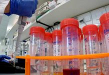 «Νόσος Χ»: «Συναγερμός» από τους ειδικούς για νέα πανδημία