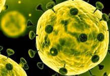 Κορωνοϊός: Γιατί η επιτροπή του Υπ. Υγείας έκλεισε όλα τα εκπαιδευτικά Ιδρύματα