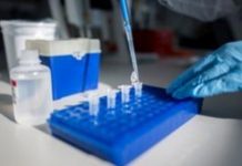 Κορωνοϊός: Επιτυχημένη δοκιμή εμβολίου σε πειραματόζωα στις ΗΠΑ