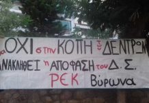 Υπερασπιζόμαστε τα δέντρα & το περιβάλλον