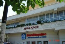 Τα δέντρα στο παλιό δημαρχείο και η “φωλιά με του πουλιού το γάλα”