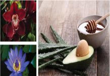 Μαύρες Ορχιδέες, Κόκκινες Ορχιδέες, Μπλε Λωτοί. Aπ’ όλα έχει ο μπαχτσές…