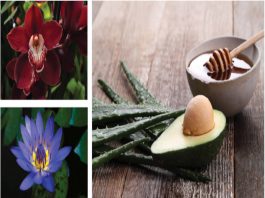 Μαύρες Ορχιδέες, Κόκκινες Ορχιδέες, Μπλε Λωτοί. Aπ’ όλα έχει ο μπαχτσές…