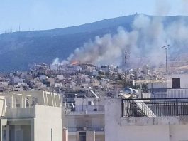 Αγώνας για τη φύση, είναι αγώνας για ζωή και ελευθερία! Με αφορμή τις πυρκαγιές στον Υμηττό