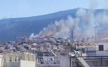 Αγώνας για τη φύση, είναι αγώνας για ζωή και ελευθερία! Με αφορμή τις πυρκαγιές στον Υμηττό