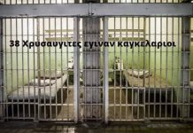 38 Χρυσαυγίτες έγιναν καγκελάριοι…