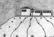 Ένας ακόμη «Κοπανάς»