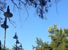 Κωδικός #6 Πέτρου & Παύλου