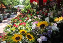 Διαφύλαξη των μικρομεσαίων επιχειρήσεων στο lockdown