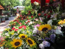 Διαφύλαξη των μικρομεσαίων επιχειρήσεων στο lockdown