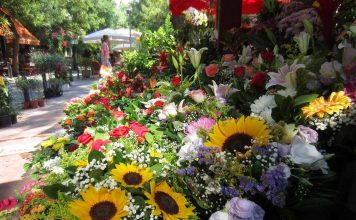 Διαφύλαξη των μικρομεσαίων επιχειρήσεων στο lockdown