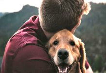 Κυριακή του Πάσχα και κίνδυνοι για τους σκύλους