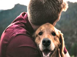 Κυριακή του Πάσχα και κίνδυνοι για τους σκύλους