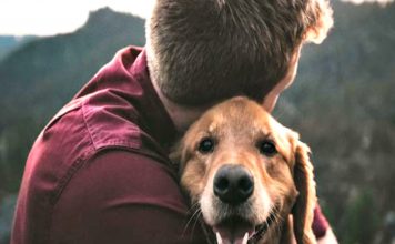Απεργία κτηνιάτρων: Στα κάγκελα για το νέο νόμο και το χαράτσι των 150 ευρώ