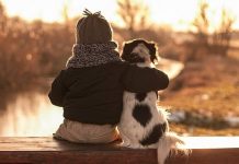 Τα κατοικίδια ζώα «όπλα» κατά της μοναξιάς στην εποχή του Covid-19