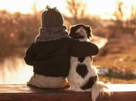 Τα κατοικίδια ζώα «όπλα» κατά της μοναξιάς στην εποχή του Covid-19