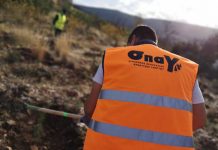 365 νέα δέντρα φυτεύτηκαν στον λόφο του Αράπη