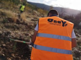 365 νέα δέντρα φυτεύτηκαν στον λόφο του Αράπη
