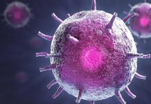 Πιο επικίνδυνη η νοτιοαφρικανική μετάλλαξη του κορωνοϊού από τη βρετανική