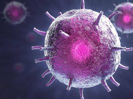 Πιο επικίνδυνη η νοτιοαφρικανική μετάλλαξη του κορωνοϊού από τη βρετανική