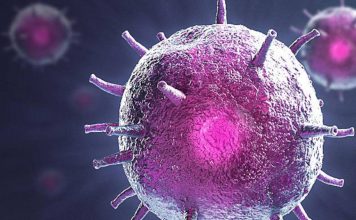 Πιο επικίνδυνη η νοτιοαφρικανική μετάλλαξη του κορωνοϊού από τη βρετανική