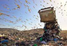 Παρέμβαση του Δημάρχου Βύρωνα στην ΠΕΔΑ για τα απορρίμματα