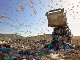 Παρέμβαση του Δημάρχου Βύρωνα στην ΠΕΔΑ για τα απορρίμματα