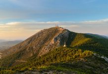 ΣΠΑΥ: Η Αναγέννηση του Υμηττού το 2020 (video)