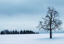 Έρευνα: Τουλάχιστον οκτώ μήνες ανοσίας στον κορωνοϊό για όσους έχουν ήδη νοσήσει