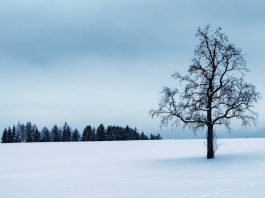 Έρευνα: Τουλάχιστον οκτώ μήνες ανοσίας στον κορωνοϊό για όσους έχουν ήδη νοσήσει