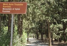 Αίτημα του Δημάρχου Βύρωνα προς τη Φιλοδασική Ένωση Αθηνών για τη συντήρηση του Κουταλά