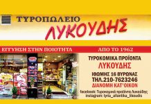 ΛΥΚΟΥΔΗΣ Τυροκομικά προϊόντα