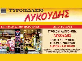 ΛΥΚΟΥΔΗΣ Τυροκομικά προϊόντα
