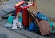 Τα ποντίκια κάνουν πάρτι!!!