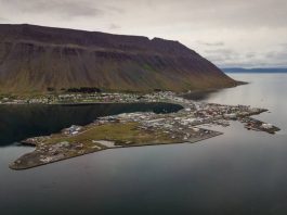 Το 1ο Γυμνάσιο Βύρωνα σε εικονική συνάντηση στην Ισλανδία που ολοκλήρωσε το ευρωπαϊκού προγράμματος Erasmus