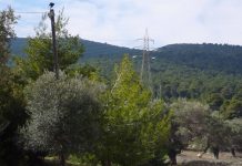 ΑΡ.ΠΑ.: Πρώτες παρατηρήσεις για τη Στρατηγική Μελέτη Περιβαλλοντικών Επιπτώσεων του σχεδίου «προστασίας» του Υμηττού