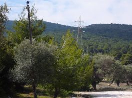 ΑΡ.ΠΑ.: Πρώτες παρατηρήσεις για τη Στρατηγική Μελέτη Περιβαλλοντικών Επιπτώσεων του σχεδίου «προστασίας» του Υμηττού