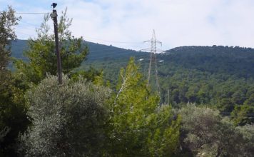 ΑΡ.ΠΑ.: Πρώτες παρατηρήσεις για τη Στρατηγική Μελέτη Περιβαλλοντικών Επιπτώσεων του σχεδίου «προστασίας» του Υμηττού