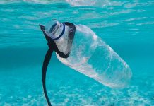 Οι Λειψοί στις πρώτες θέσεις πανελληνίως στην ανακύκλωση!