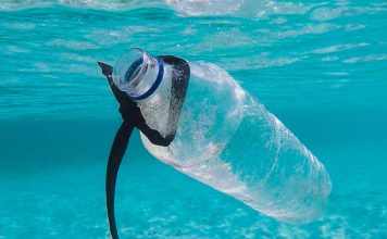 Οι Λειψοί στις πρώτες θέσεις πανελληνίως στην ανακύκλωση!