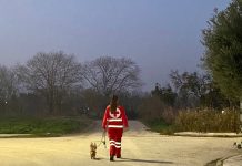 Εθελοντές του Ελληνικού Ερυθρού Σταυρού βγάζουν βόλτα τους σκύλους όσων δεν είναι σε θέση να το κάνουν!