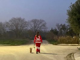 Εθελοντές του Ελληνικού Ερυθρού Σταυρού βγάζουν βόλτα τους σκύλους όσων δεν είναι σε θέση να το κάνουν!