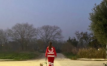 Εθελοντές του Ελληνικού Ερυθρού Σταυρού βγάζουν βόλτα τους σκύλους όσων δεν είναι σε θέση να το κάνουν!