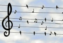 Τρομονόμος και στη μουσική που θα κρίνεται «ανατρεπτική»