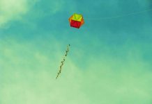 Απόκριες: Ιδέες των παιδαγωγών στους παιδικούς σταθμούς Δ. Βύρωνα