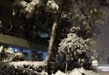 Η «Μήδεια» και το «Σύνδρομο του Βλαχοδήμαρχου»