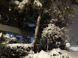 Η «Μήδεια» και το «Σύνδρομο του Βλαχοδήμαρχου»