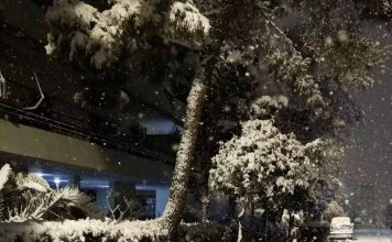 Η «Μήδεια» και το «Σύνδρομο του Βλαχοδήμαρχου»