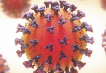 Το επικρατέστερο σενάριο για το τέλος του covid: Έτσι έσβησαν 2 από τους πιο θανατηφόρους ιούς που έμοιαζαν ανίκητοι σαν τον κορωνοϊό.