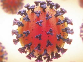 Το «όλοι θα κολλήσουμε» είναι η πραγματική ευγονική